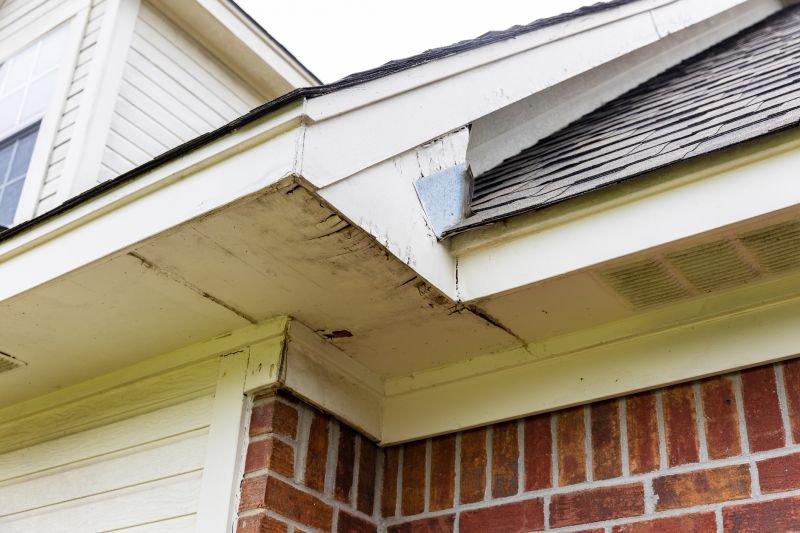 Fascia Repair in Conroe, TX